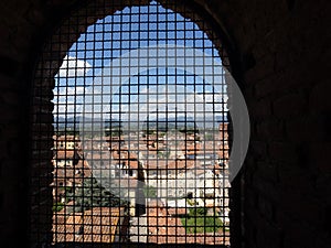 View of the city from the Guinigi tower, Lucca, Italy photo